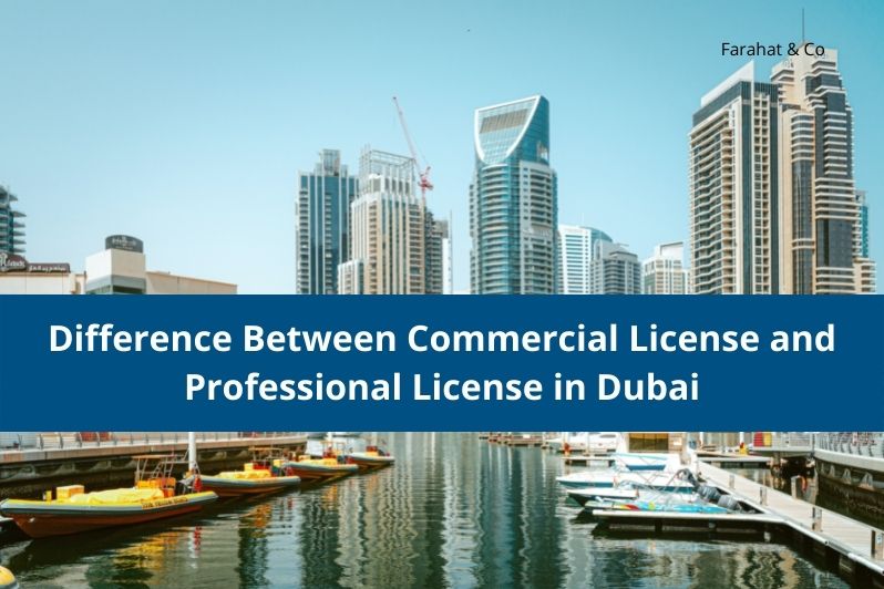 Professional License in Dubai