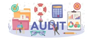 External Audit Process