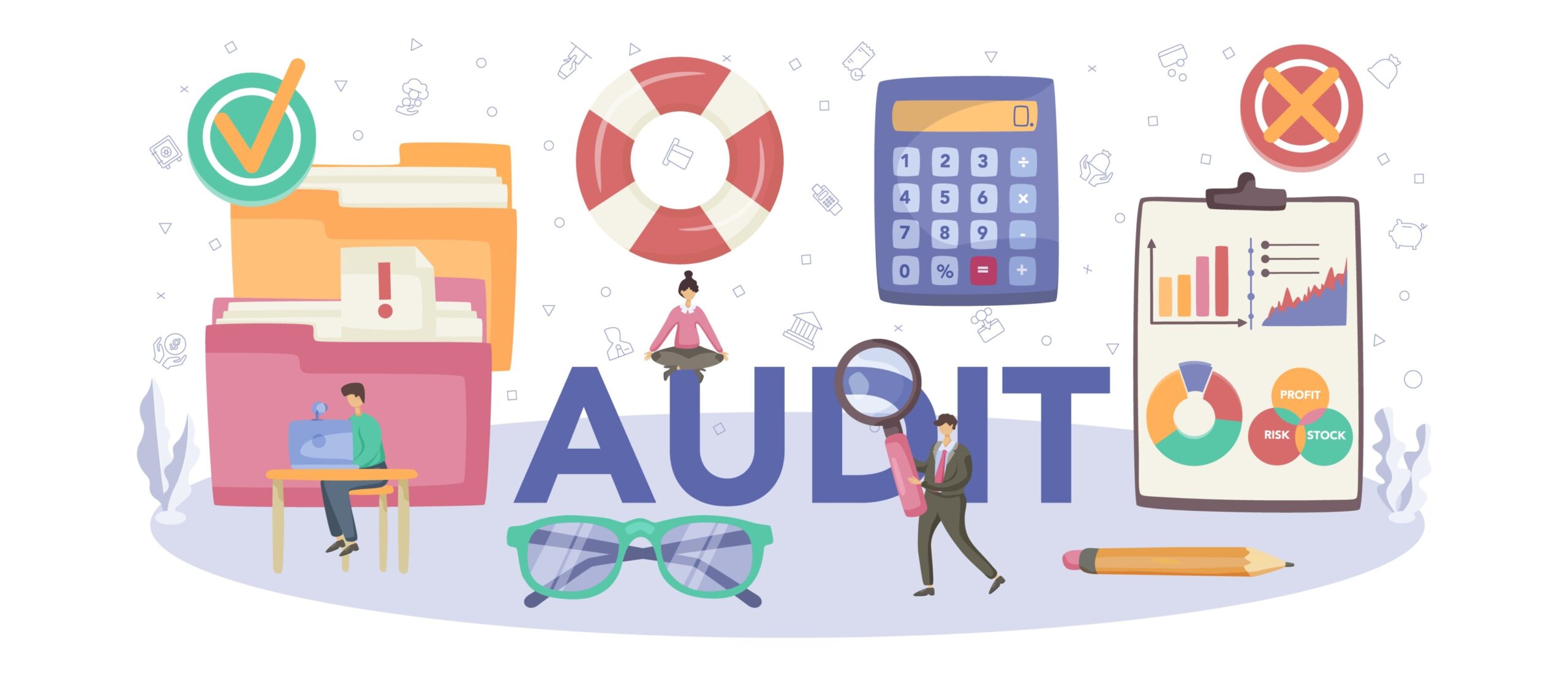 External Audit Process