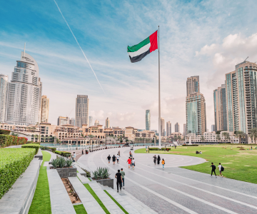 Types of UAE business setup Freezones
