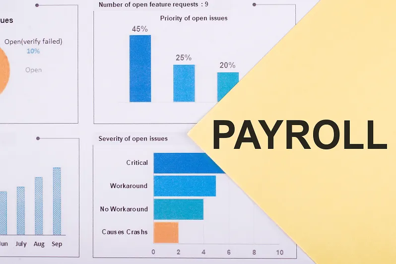 what-is-shadow-payroll-and-how-it-is-implemented